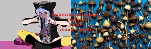 apvp Белоозёрский